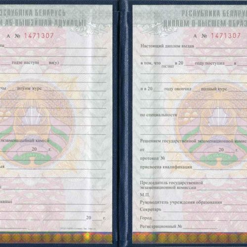 Диплом ВУЗ Беларусь 2011-2025